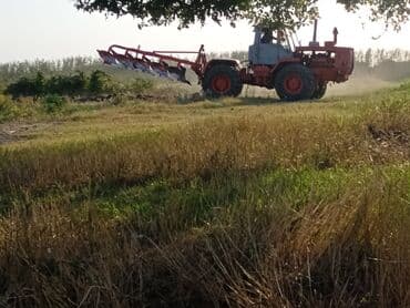 ismayilli ev kiraye: Texnika saz vəziyyətdədir problem yoxdur.tek satılır.usdunde uzbor — 3