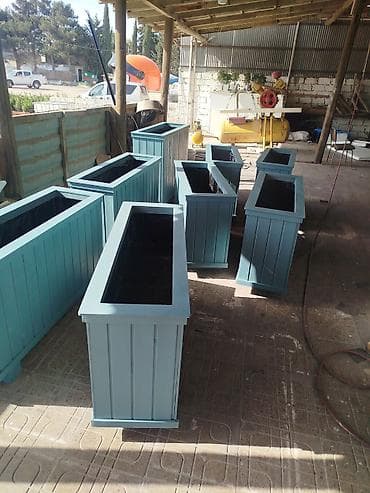 taxta balyans: Dipcek Bir başa sexdən.Sex qiymətinə. ♦️Endirim 2026 ▶️İstenilən — 4