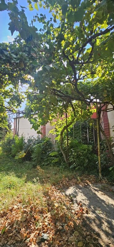 аренда продажа земельных участков: 48 sot, Kənd təsərrüfatı, Kupça (Çıxarış) — 23