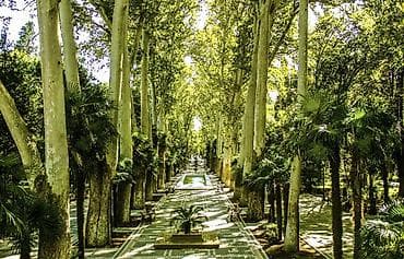 bilgeh ev: 1 otaqlı — 1