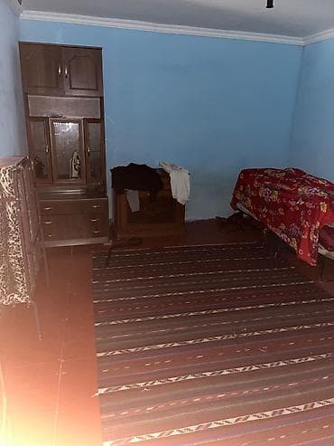 berde ev: Bağ sahəsi və yardımçı tikili - Üzüm tağları ilə örtülü, yaşıllıqla — 8
