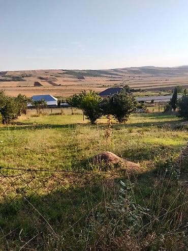 10 sot, Tikinti, Mülkiyyətçi, Kupça (Çıxarış)