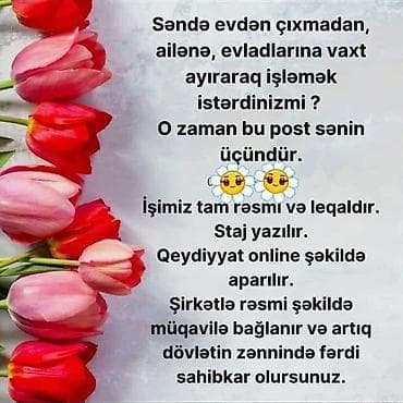 iş eylanlari: Uzaqdan/evdən işləmək imkanı – rəsmi və leqal fəaliyyət - Evdən — 1