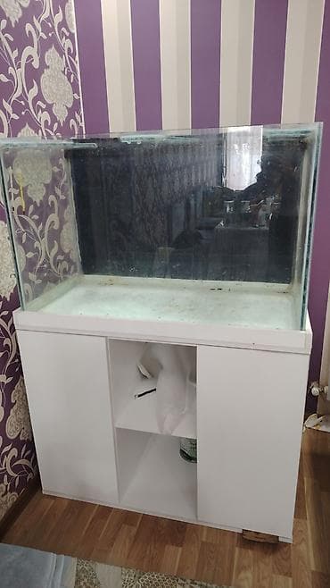 zavod akvariumu: Akvarium-şkaf, Balıqlarla birlikdə, 320 l, Ünvandan götürmə — 2