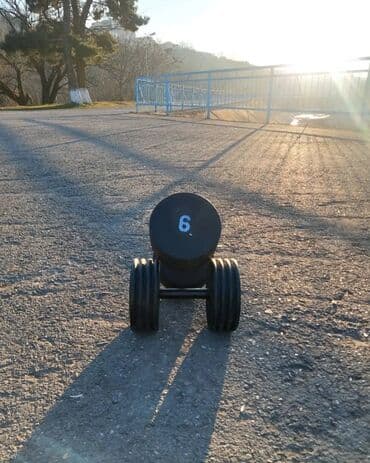 natiq vahidov 9 cu sinif pdf: Qantellər, Çəki: 4 kq — 1