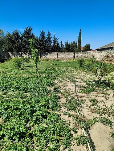 30 mine evler: 9 sot, Tikinti, Maklerlər narahat etməsin, Kupça (Çıxarış) — 5