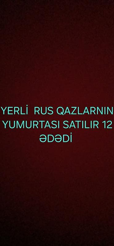 yumurta qaz: Mayalı yumurtalardı — 1