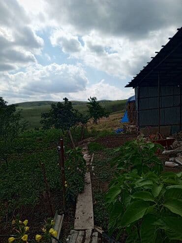 1 otaqlı kirayə: Şamaxı, 80 kv. m, 3 otaqlı — 22