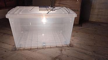 İnkubatorlar: Yumurta inkubatoru – termostatlı, rütubət ölçerli və ventilyatorlu — 3