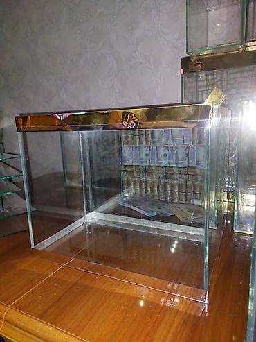 yumru akvarium satisi: Çatdırılma tam pulsuzdu ölçü və dizaynında dəyişiklik etməy olar arxa — 9