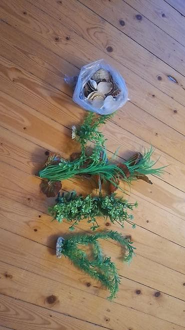 Akvarium aksessuar və ləvazimatları: Akvaryum bəzək dəsti: suni yaşiliq ve baliq qulagi muxtelif olçulerde — 1