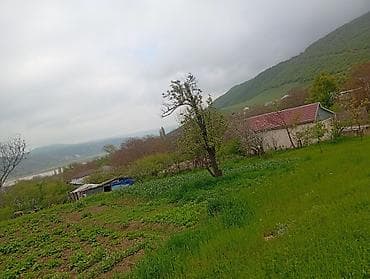 yeni emlak ucuz kiraye evler: Kənd təsərrüfatı — 5