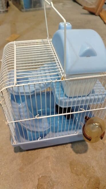 домики для хомяков: Her bir seyi tamdir — 3