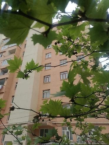 ecemide ucuz evler: Bakı, Yeni Günəşli Massiv Q, 3 otaqlı, Köhnə tikili, m. Xalqlar Dostluğu, 59 kv. m — 1