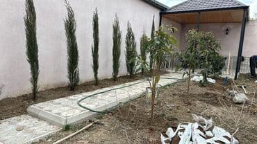 ehmedlide 5 otaqli evlerin qiymeti: Binəqədi qəs. 5 otaqlı, 200 kv. m, Kredit yoxdur, Yeni təmirli — 17