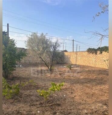 xacmaz torpaq sahesi satilir: Tikinti — 2