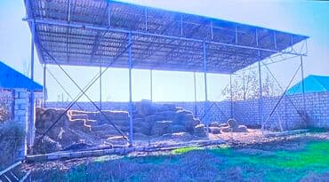 xacmaz rayonu: 12 sot, Kənd təsərrüfatı, Kupça (Çıxarış) — 19