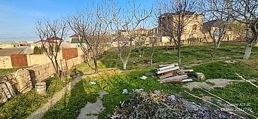 3 sot, Tikinti, Mülkiyyətçi, Kupça (Çıxarış) — 8