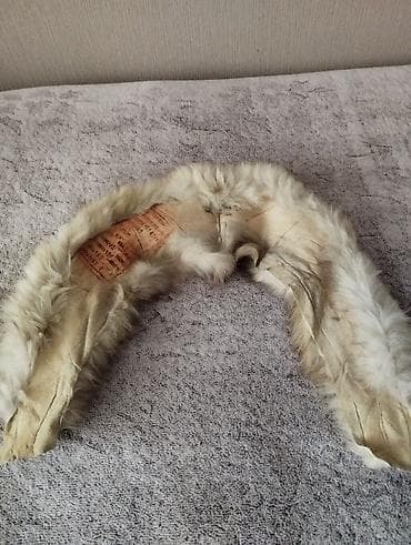 Шубы: Шуба — 2