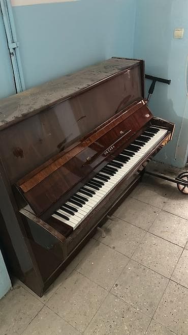 Электротранспорт: Пианино, Акустический — 2