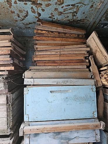 Arılar: Arı yeşikləri və künc dəmirləri satılır
Qiymet danisiq esasinda — 6