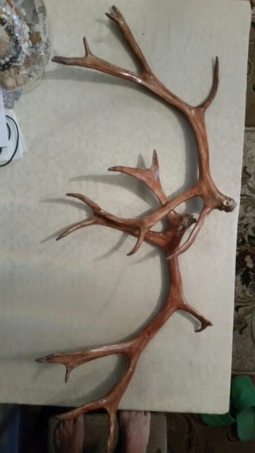 həsir nədir: Рогапрекрасном состояние. договарная. по пустякам не звонит — 2