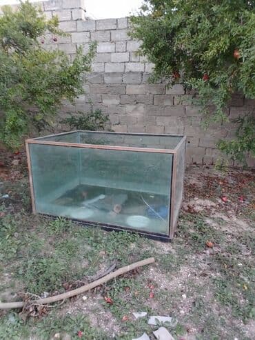 купить аквариум: Böyük şüşə akvarium - Material: qalın şüşə panellər, künclərdə — 2