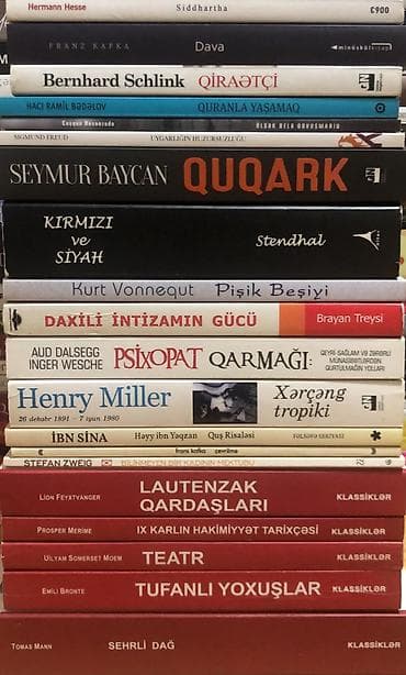 Müxtəlif janr və müəlliflərdən ibarət böyük kitab toplusu. Dəstdə — 2