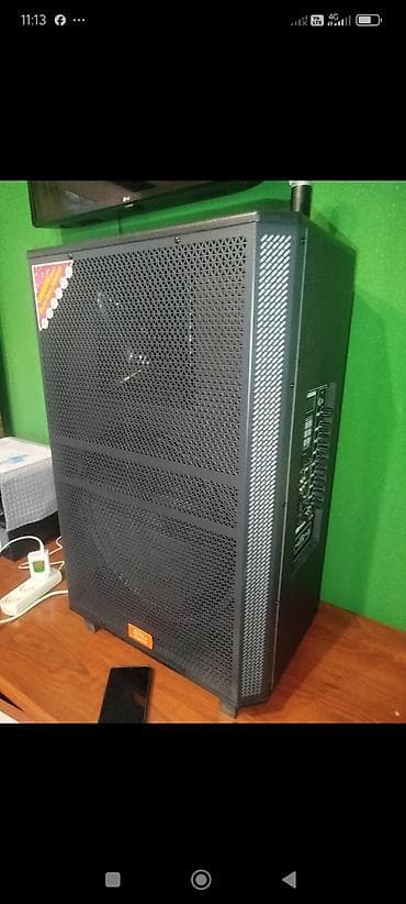 Karaoke: Güclü portativ akustik sistem - Böyük ölçülü, metal torlu korpus – — 1
