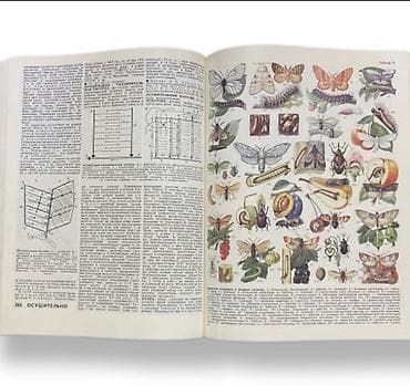 познание мира 2 класс мсо 2: Məhsul: “Сельскохозяйственный энциклопедический словарь” (Kənd — 4