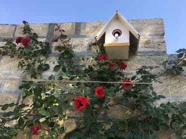 quş yuvaları: Скворечник, Quş damı. Əl işidi, özüm düzəldirəm. Bağınıza gözəllik — 5