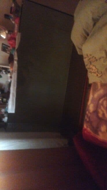 hələb keçisi satılır: Akvarum — 1