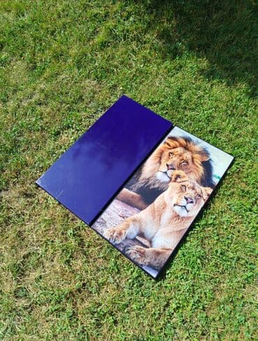 oğlan çantası: Nərd Nərdtaxta Nerd Nerd taxta Çeşid çoxdu.çatdırılma 1_2 saata — 7