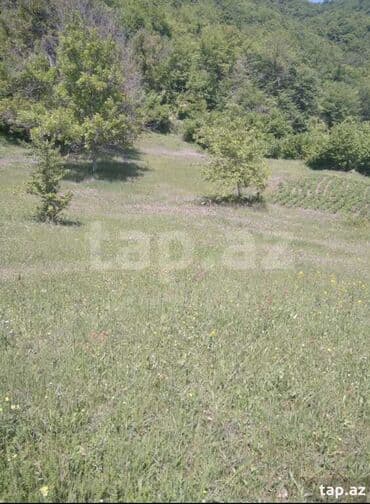 xacmazda torpaq: 60 соток, Для строительства, Собственник, Купчая — 2