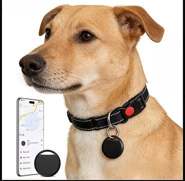 Heyvanlar üçün izləyici brelok. Həmçinin əl çantalarının, açarların