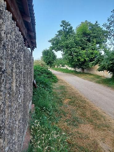 64 sot, Kənd təsərrüfatı, Mülkiyyətçi, Kupça (Çıxarış) — 2