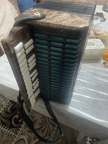 bayan akkordeon: Akustik Akkordeon — 3