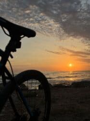 велосипеды trinx бишкек: Б/у Трековый велосипед Trinx, 28", скоростей: 32, Бесплатная доставка — 9