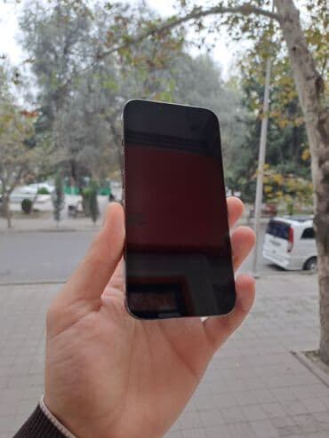 ayfon 13 pro max qiyməti: IPhone 13 Pro, 256 GB, Matte Silver, Face ID — 2