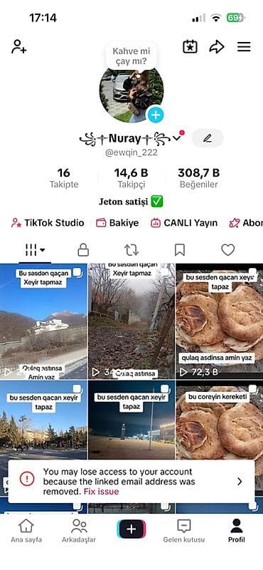 Aktiv TikTok Səhifəsi Satılır 31 LeveL. (15K takipci 300+K beyenme) — 2