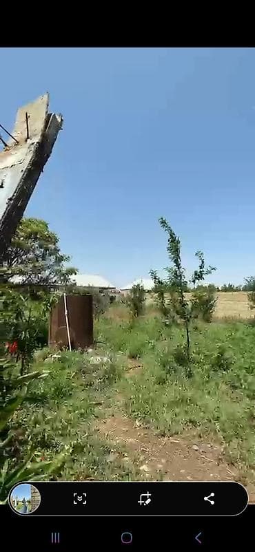 Tecili satilir 130 min Turkler qesebesi Imamzade yolu — 10