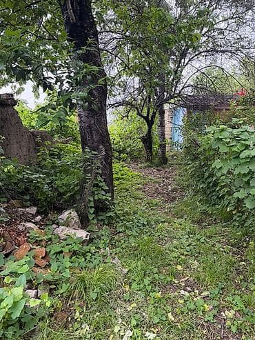 ecemı kıraye evler: Şəki, 82 kv. m, 3 otaqlı, Hovuzsuz, Su — 3