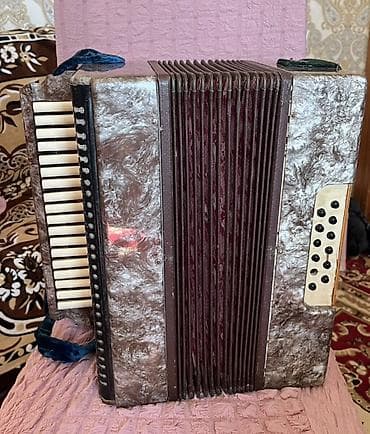 CD, DVD disklər və kassetlər: Akustik Akkordeon, İşlənmiş — 1