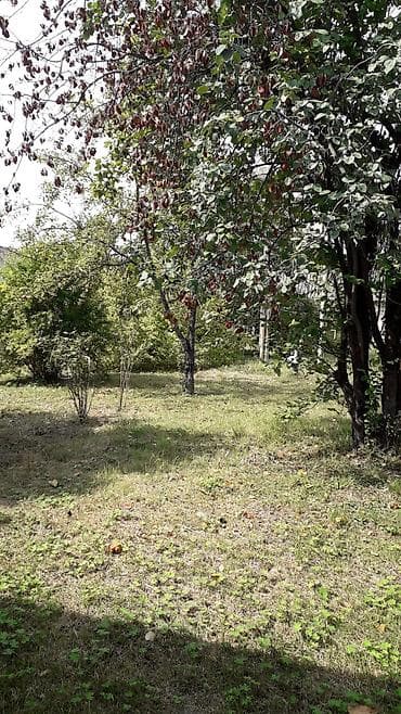 samaxi kiraye evler hovuzlu: 100 kv. m, 1 otaqlı, Hovuzsuz — 10