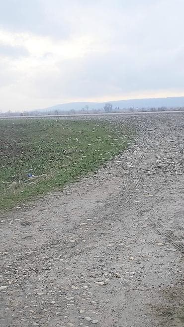 bulbulede torpaq: 20000 sot, Kənd təsərrüfatı, Kupça (Çıxarış) — 9