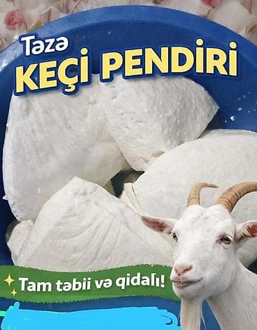 Təzə keçi pendiri - Tam təbii və qidalı - Keçi südündən hazırlanmış
