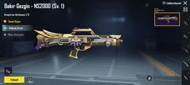 bal qoz qarisimi: PUBG Mobile hesabı – zəngin kolleksiya və laboratoriya yüksəltmələri — 7