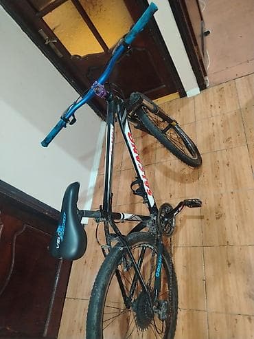 Salsano markalı dağ velosipedi - Çərçivə: yüngül alyumini, 26" təkər