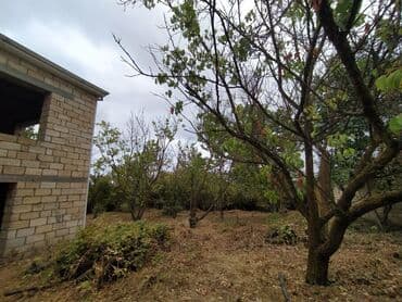 готовые дома продажа: 5 otaqlı, 2500 kv. m, Kredit yoxdur, Təmirsiz — 6