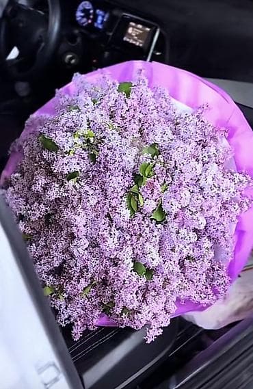 lale gülü: Bənövşəyi yasəmənlərdən hazırlanmış möhtəşəm buket. - Təbii yasəmən — 1